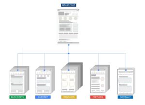 Website Spider Process